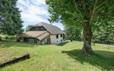 Single house 15 rooms - image - 2