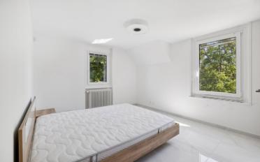Einfamilienhaus 9.5 Zimmer - image - 13