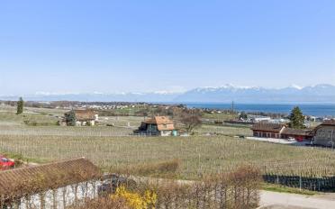 Duplex 4.5 pièces - image - 12