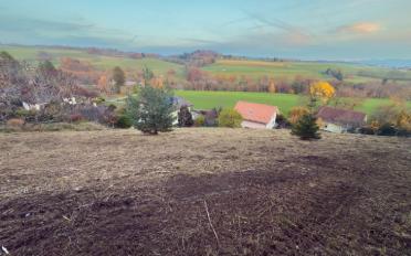 Bauland - image - 4
