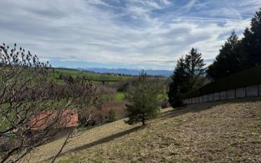 Bauland - image - 4