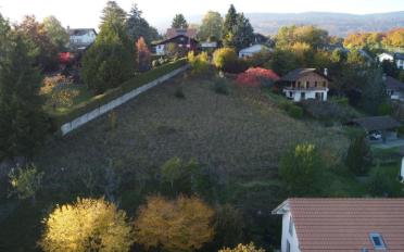 Bauland - image - 7