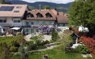 Doppeleinfamilienhaus 7.5 Zimmer - image - 1