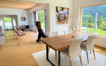 Chalet 10 pièces - image - 12