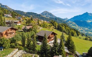 Chalet 10 Zimmer - image - 1