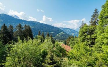 Chalet 6 rooms - image - 8