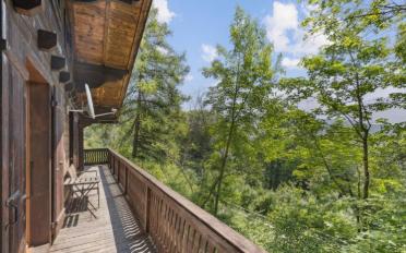 Chalet 6.5 Zimmer - image - 2