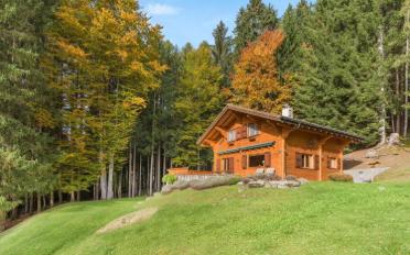 Chalet 4.5 pièces - image - 1