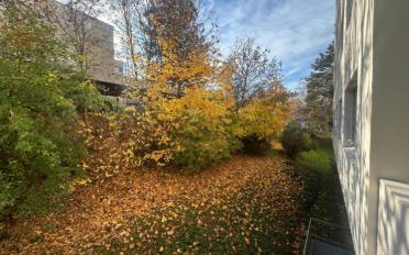 Apartment 4 rooms - image - 9
