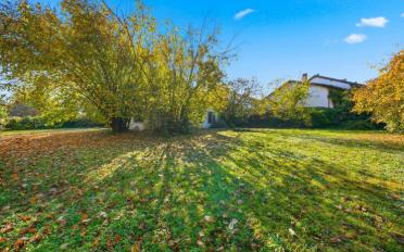 Einfamilienhaus 10 Zimmer - image - 3