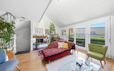 Einfamilienhaus 6.5 Zimmer - image - 1