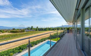 Single house 7 rooms - image - 7