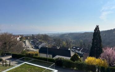 Einfamilienhaus 7 Zimmer - image - 7