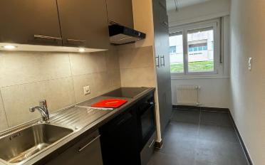 Apartment - image - 1