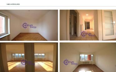 Immeuble mixte - image - 7