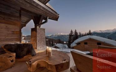 Chalet 18 pièces - image - 3