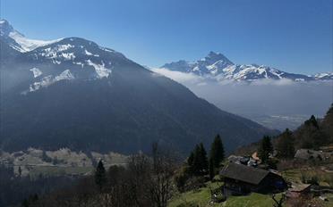 Terrain à bâtir - image - 7