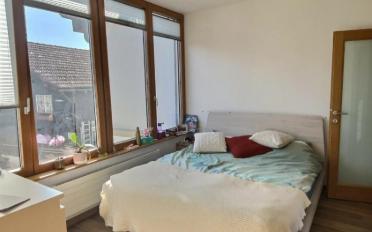 Wohnung 3 Zimmer - image - 4
