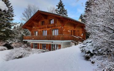 Chalet 6.5 Zimmer - image - 2