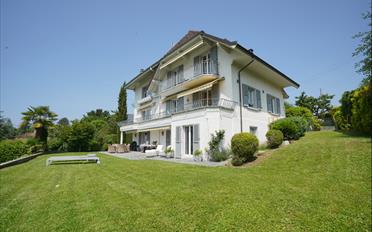 Villa - image - 2