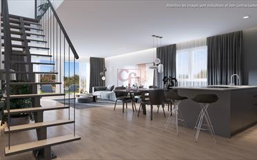 Doppeleinfamilienhaus 4.5 Zimmer - image - 6