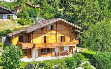 Chalet 6.5 pièces - image - 2