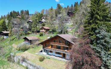 Chalet 9 Zimmer - image - 6