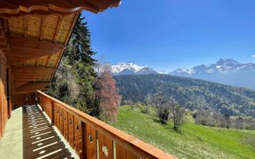 Chalet 9 Zimmer - image - 3