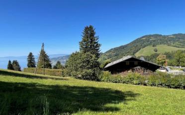 Chalet 5.5 rooms - image - 2
