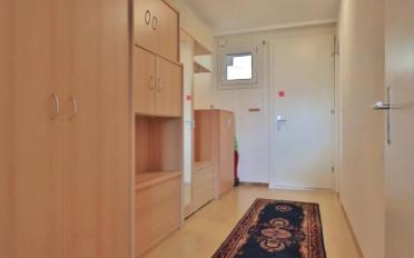 Wohnung 2.5 Zimmer - image - 5