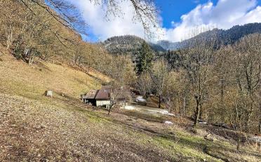 Einfamilienhaus 4 Zimmer - image - 10