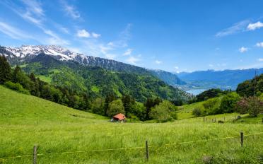 Chalet 4.5 rooms - image - 2