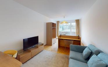 Appartement meublé 1.5 pièces - image - 6