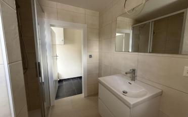 Single house 8 rooms - image - 13