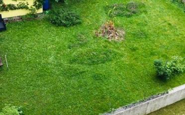 Apartment 2.5 rooms - image - 6