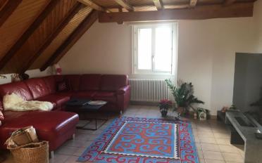 Wohnung 3 Zimmer - image - 2