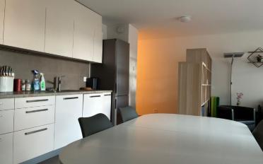 Wohnung 4.5 Zimmer - image - 2