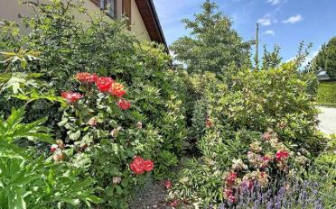Villa 9 Zimmer - image - 13