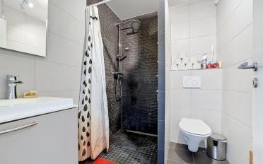 Apartment 4.5 rooms - image - 11