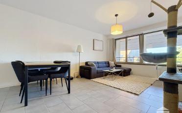 Appartement 2.5 pièces - image - 2