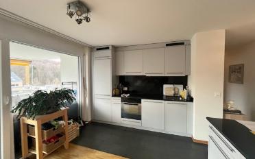 Wohnung 2.5 Zimmer - image - 1