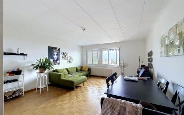 Wohnung 2.5 Zimmer - image - 2