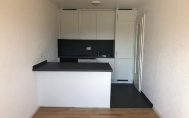 Appartement 4.5 pièces - image - 2