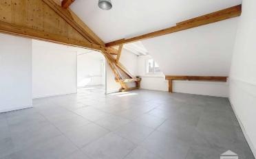 Büro 8 Zimmer - image - 1