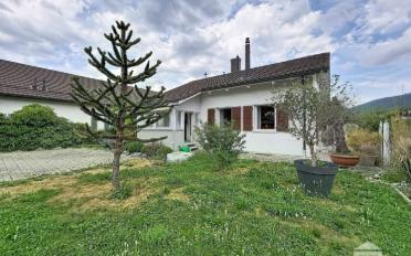 Villa 4 Zimmer - image - 13