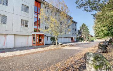Wohnung 3.5 Zimmer - image - 2