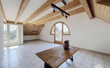 Wohnung ein Zimmer - image - 1