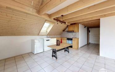 Wohnung ein Zimmer - image - 3