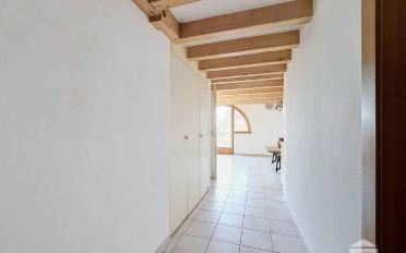 Wohnung ein Zimmer - image - 6