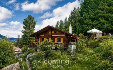 Chalet 4 rooms - image - 1